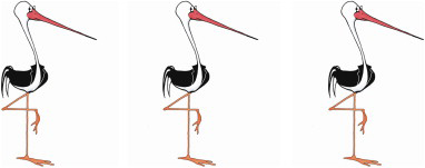 Gilbert Stork